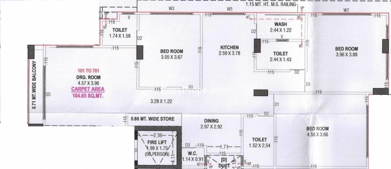 Raabee Sakina Orchid