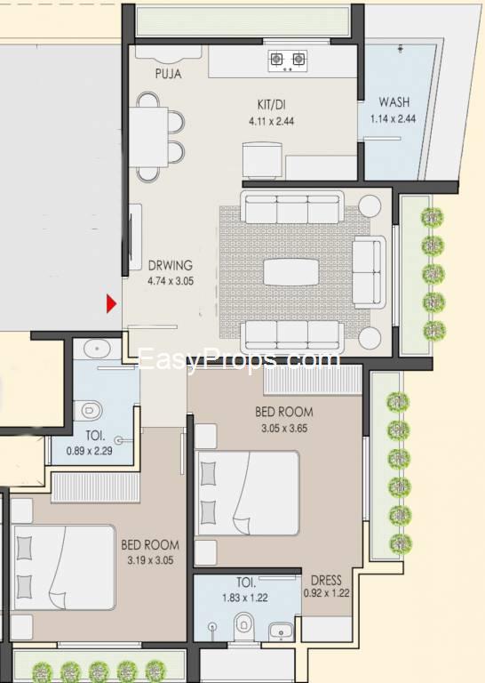 Trivedi Mira Mohan Elegance