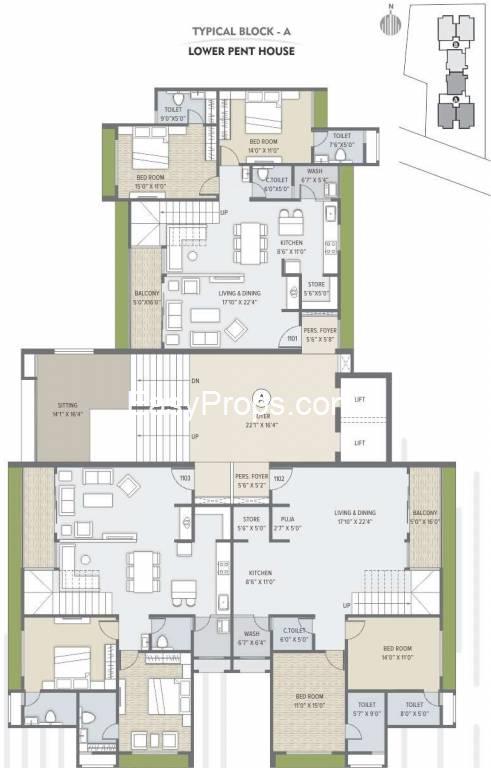 R Sheladia Palladian