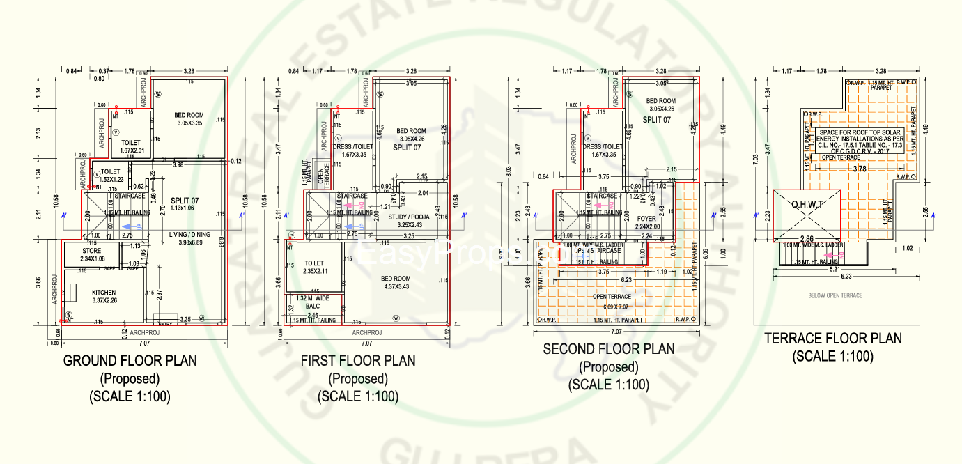 Orange Paarijat Aranya