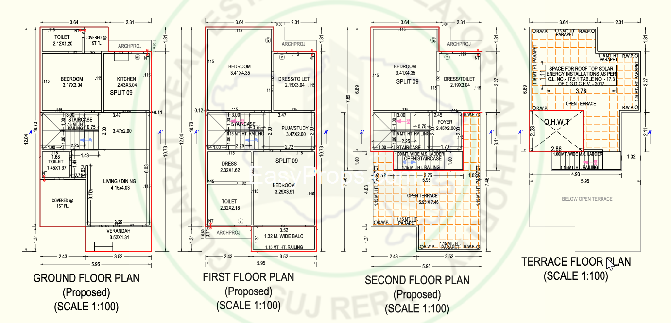 Orange Paarijat Aranya