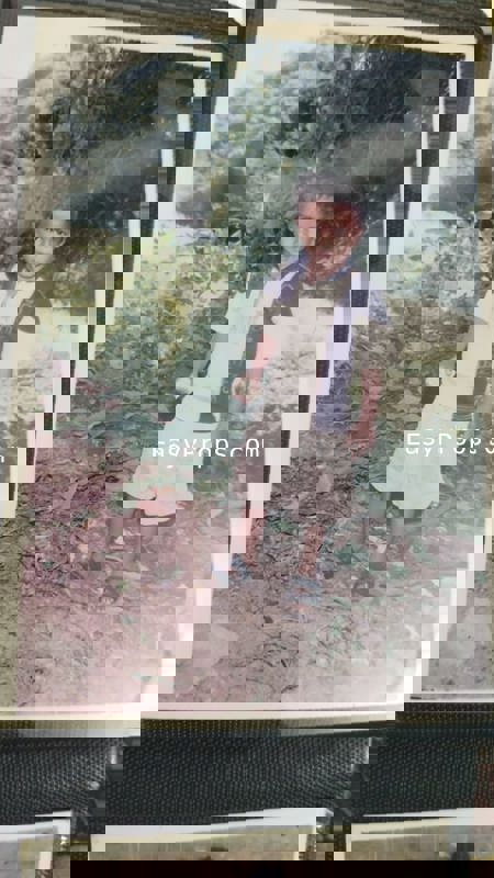 SS ENTERPRISE DHAMATWAN INDUSTRIAL 