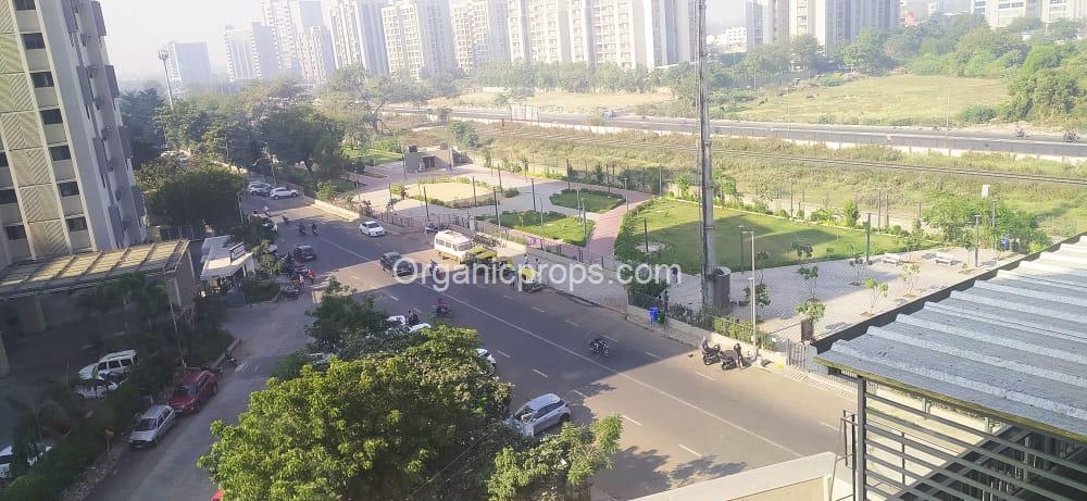 411 Sq. ft office on rent in Makarba