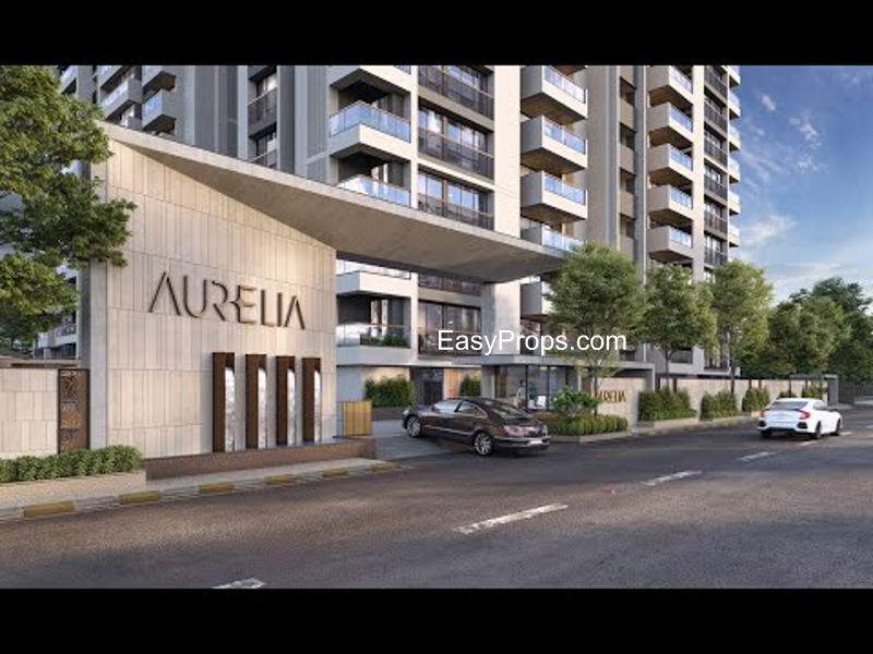 Aurelia_7_20260423180014924.jpg