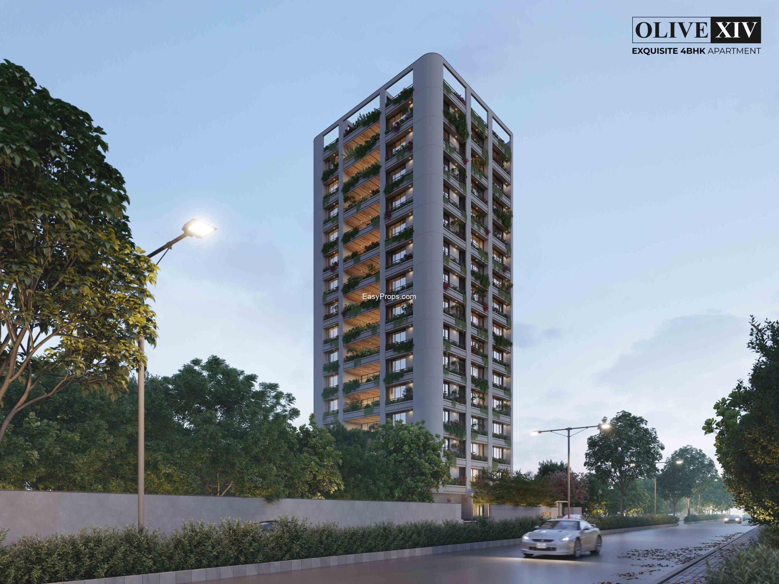 Aarya Olive XIV