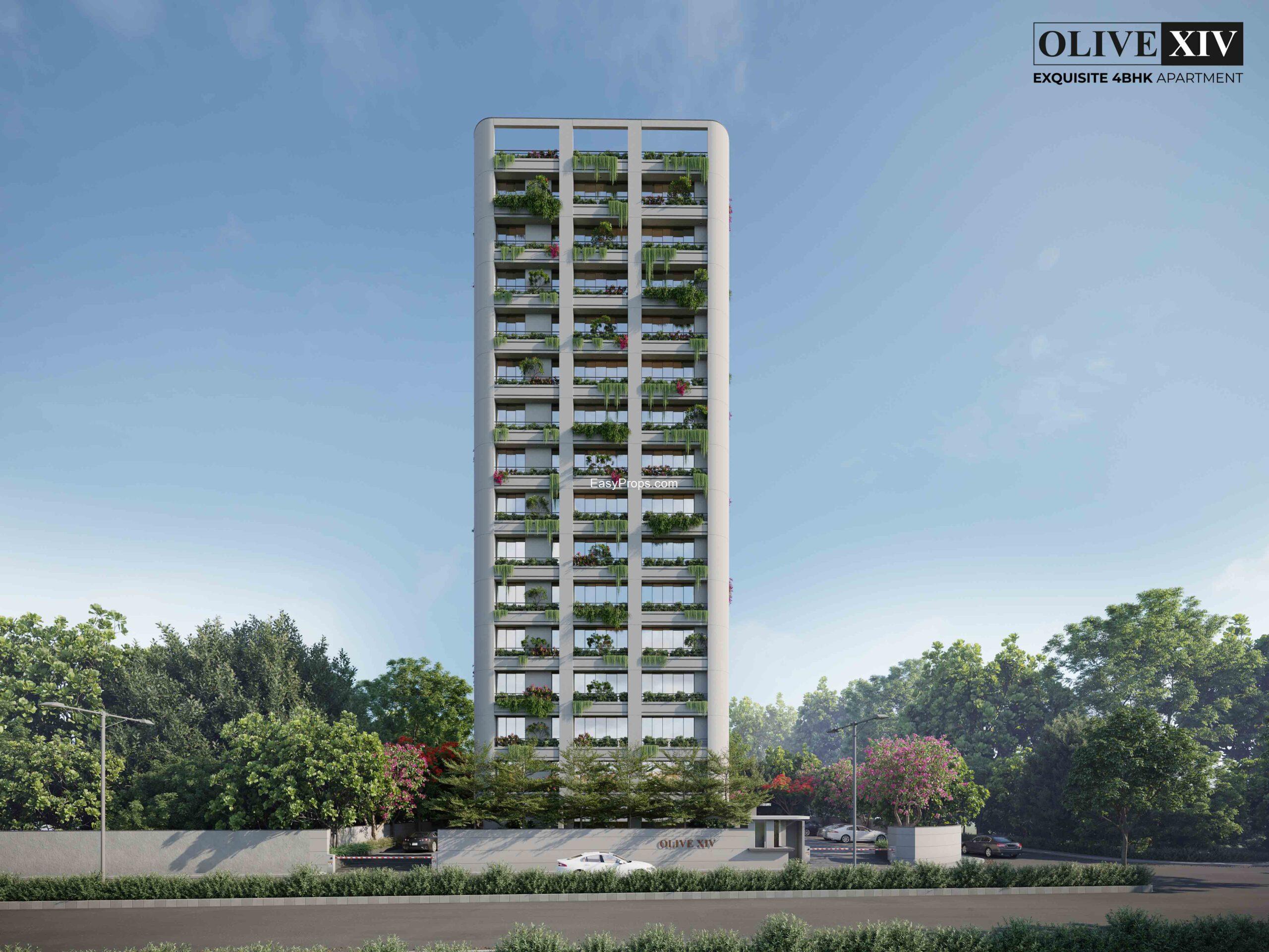 Aarya Olive XIV