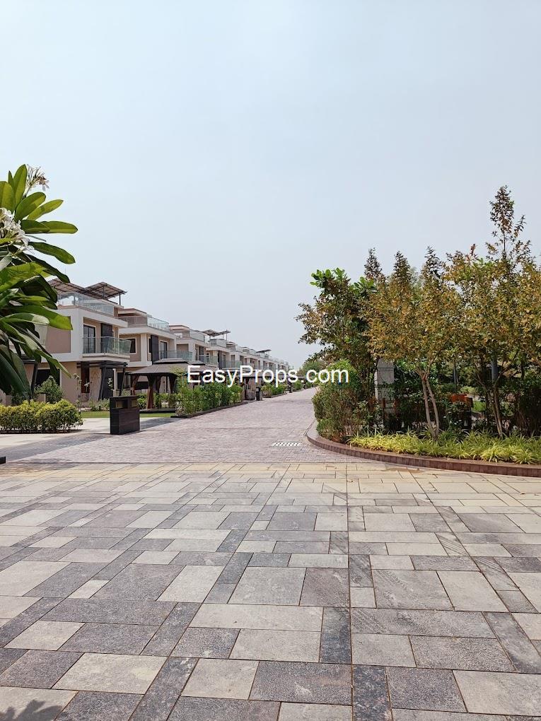 Rachana Aatrey Exotica