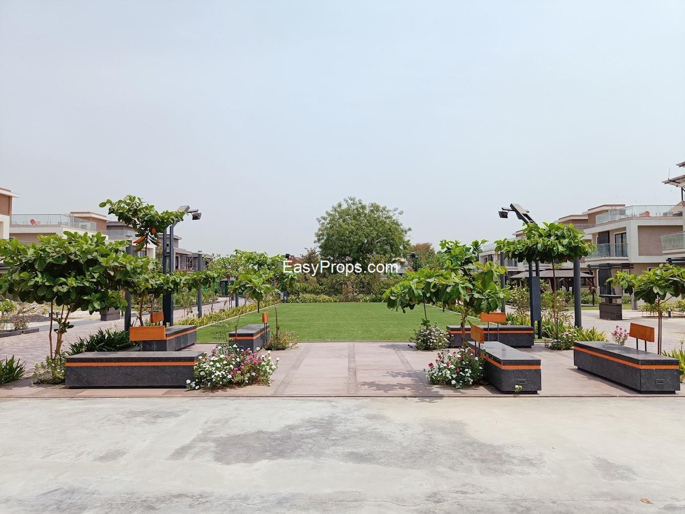 Rachana Aatrey Exotica