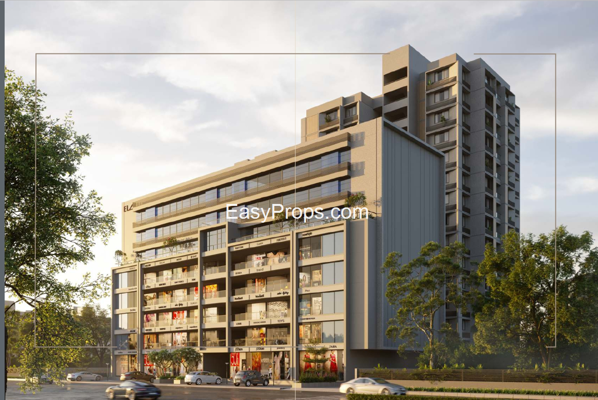 Euphoria Aaryan Elan