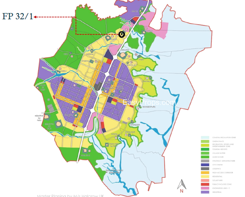 Dholera Marigold 548