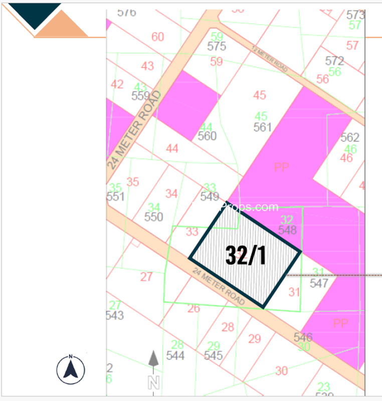 Dholera Marigold 548