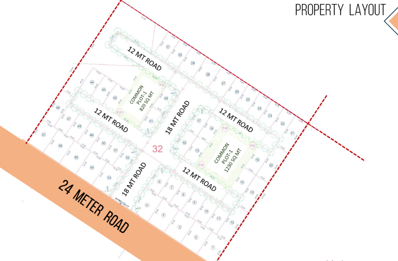 Dholera Marigold 548