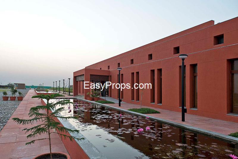 Synthesis Altius Viitor