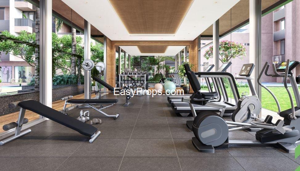 ambience-gymnasium-162318362_20250409151213107.jpeg