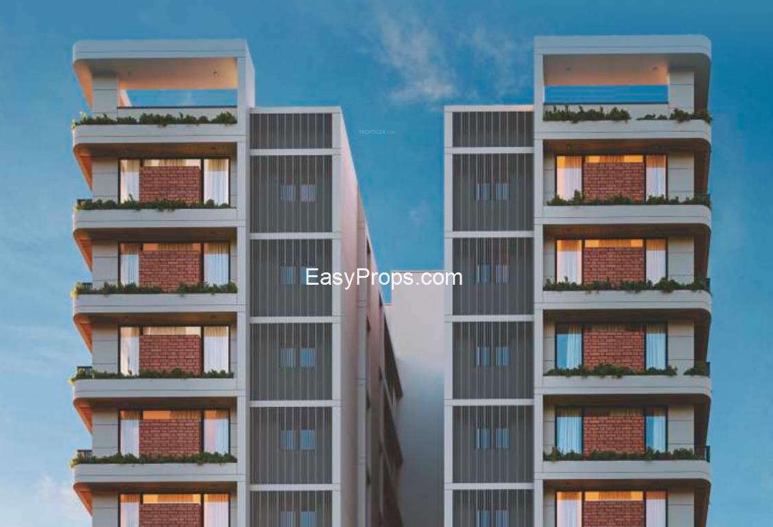 Apex Canduer Vivante