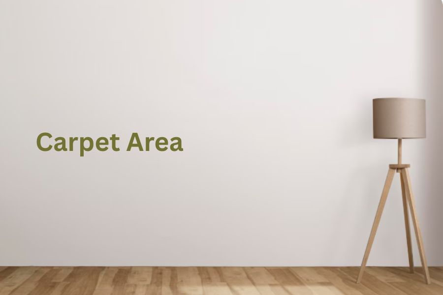 carpet_area_20260514172632890.jpg