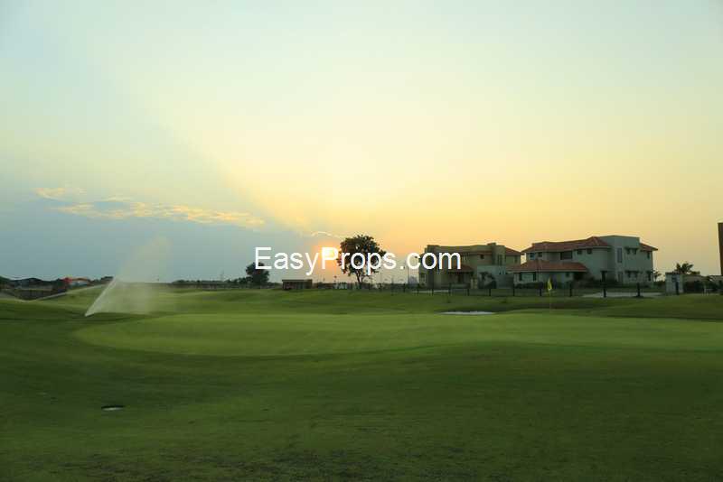 Navratna Kalhaar Blues and Greens