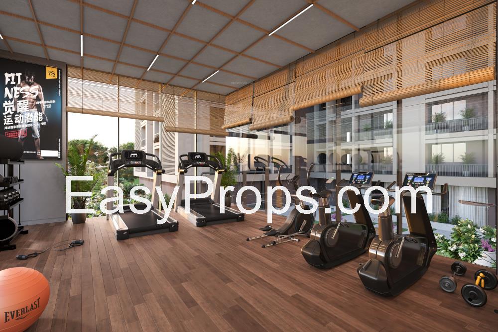 green-abalone-gymnasium-165665763_20250416180744186.jpeg
