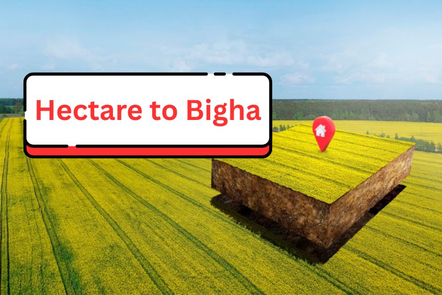 hectare_to_bigha_20260602182222429.jpg