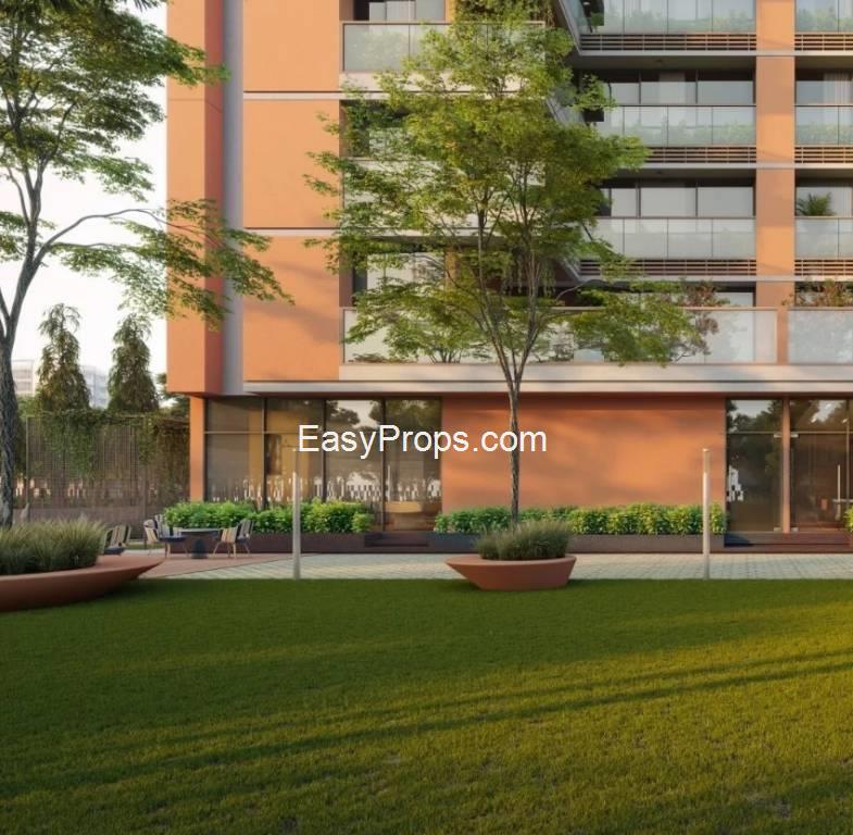syril-landscape-garden-and-tree-planting-176984372_20250416173440548.jpeg