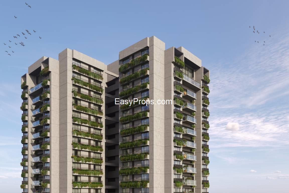 Ashima The Sovereign