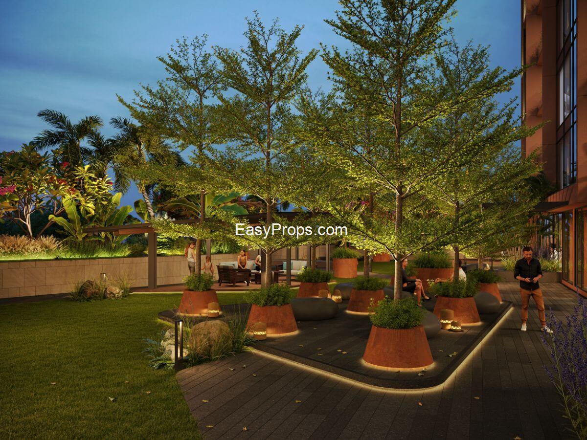 treetop_sheladia_7_20250523164159083.jpg